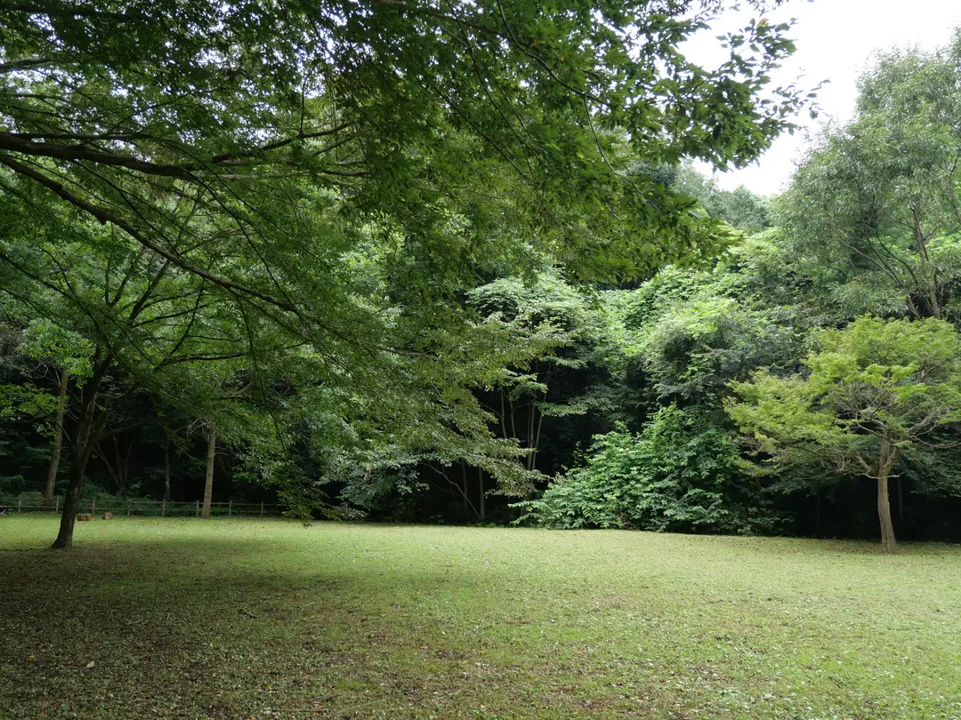 写真No.10