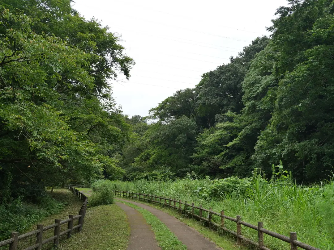 写真No.14