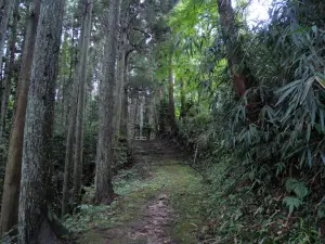 写真No.13