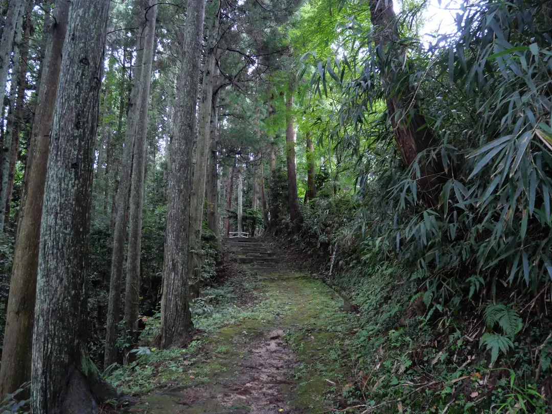 写真No.13
