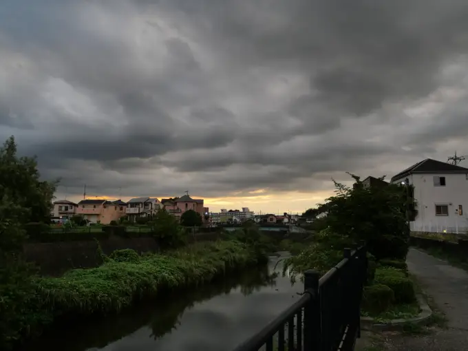 写真No.2