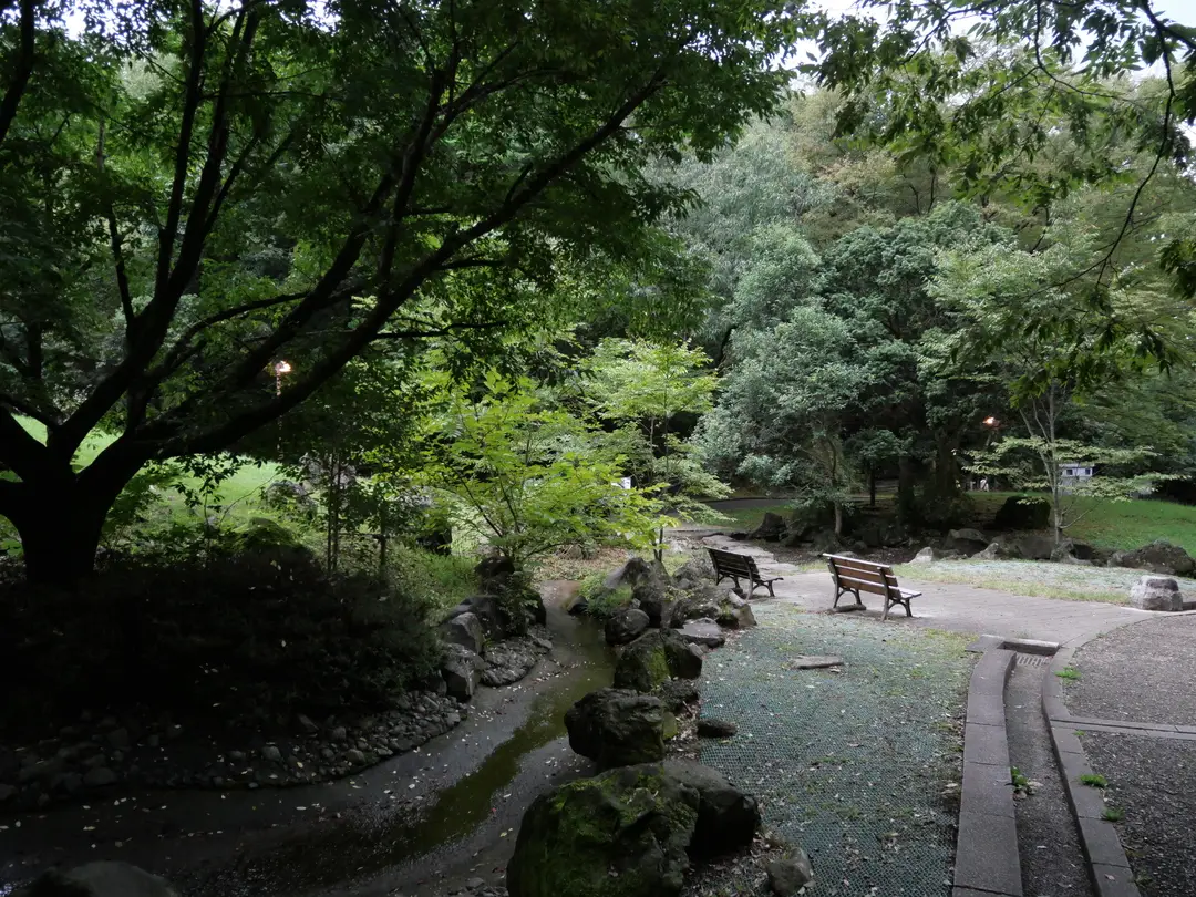 写真No.11