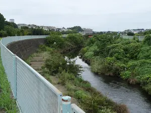 写真No.6