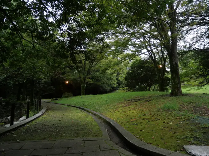 写真No.2