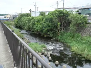 写真No.5