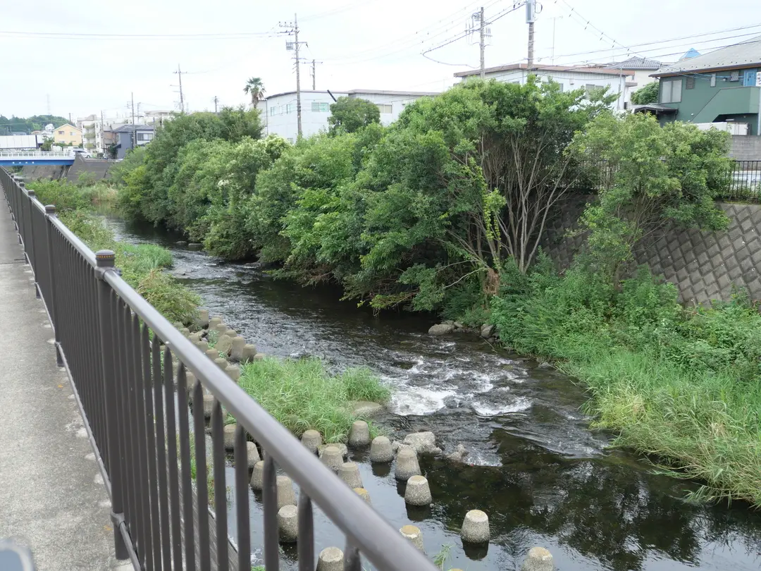 写真No.5