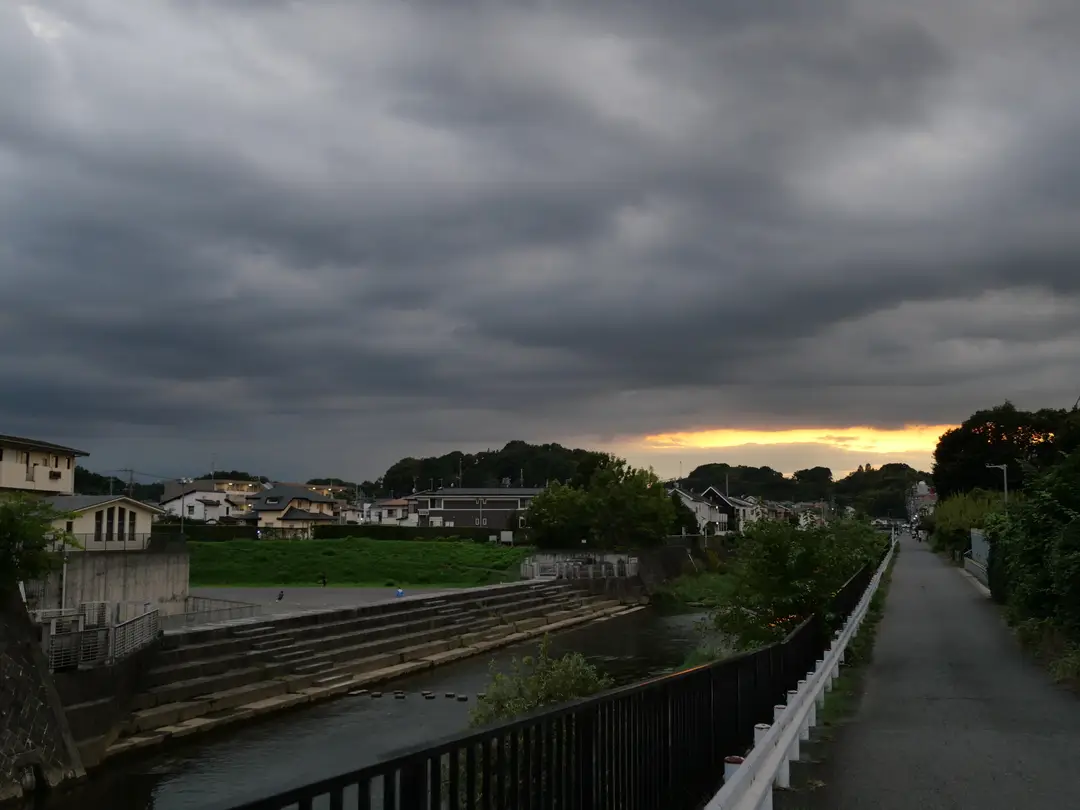 写真No.3