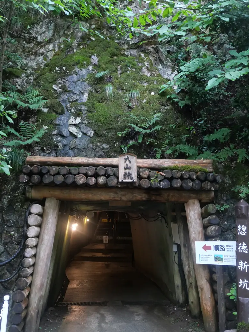 写真No.12