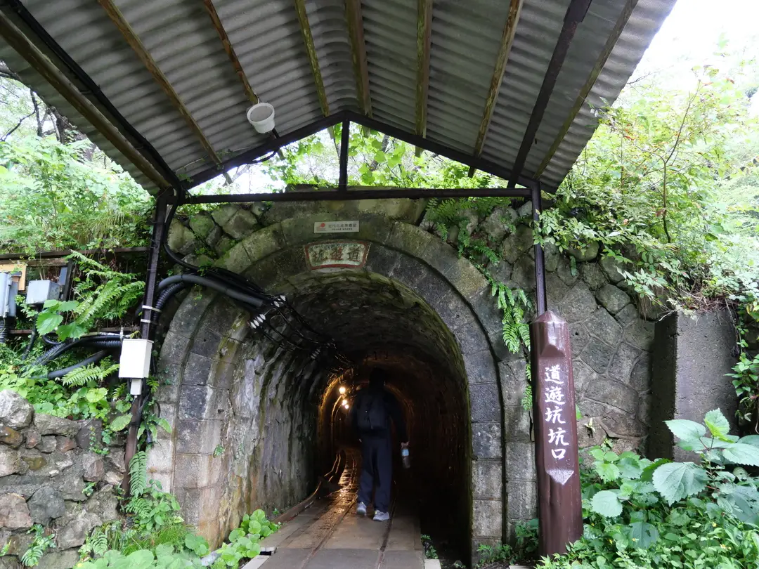 写真No.15