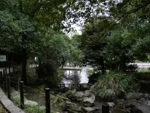 写真No.12