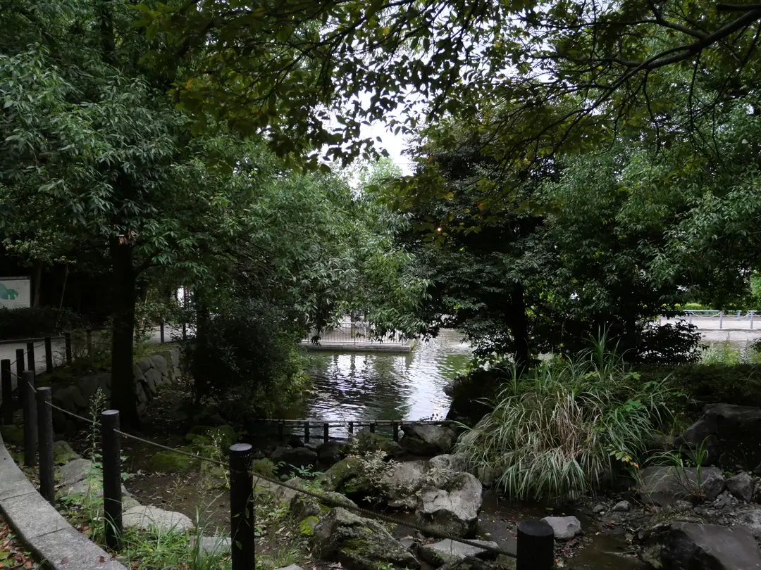 写真No.12