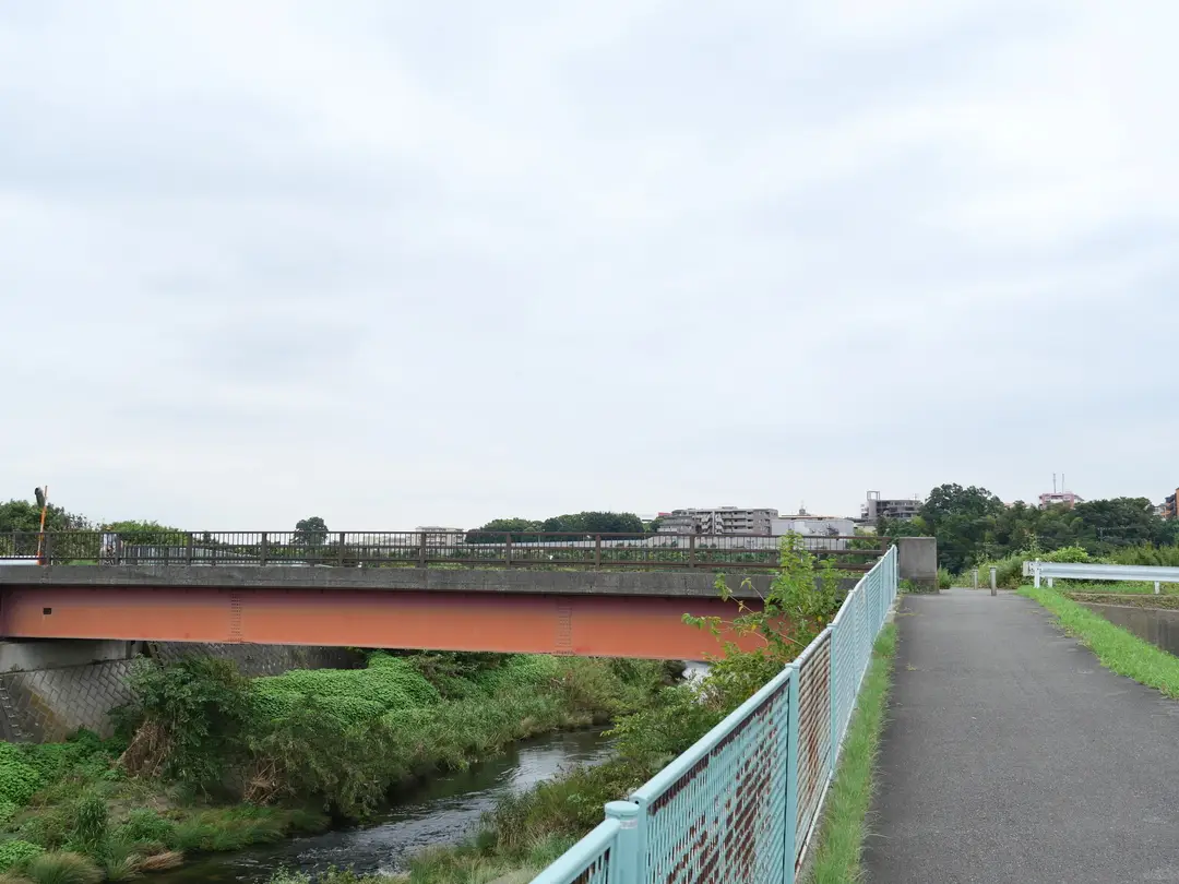 写真No.5