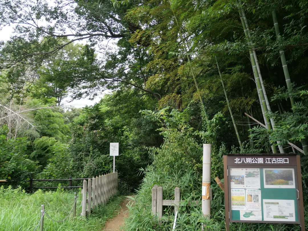 写真No.5