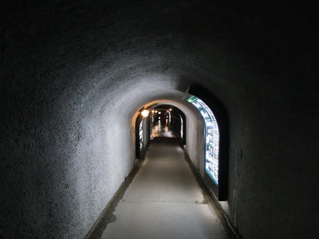 写真No.7
