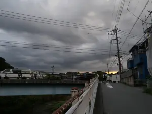 写真No.4