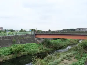写真No.4