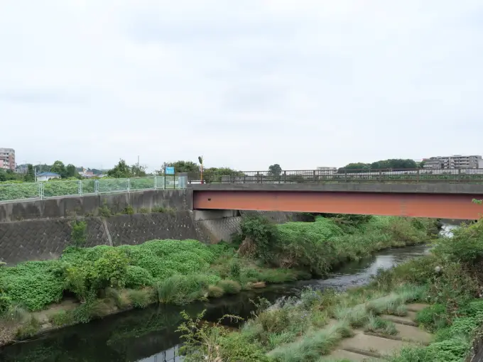 写真No.4