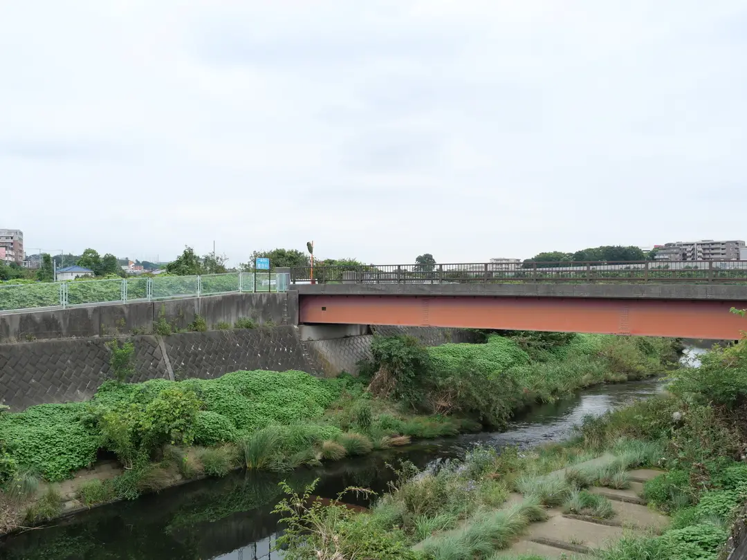 写真No.4