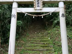 写真No.15