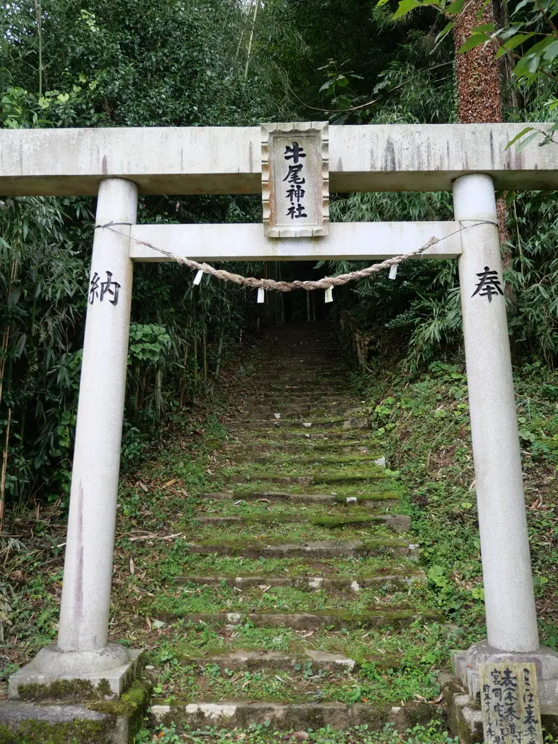 写真No.15