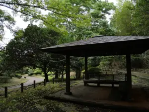 写真No.3