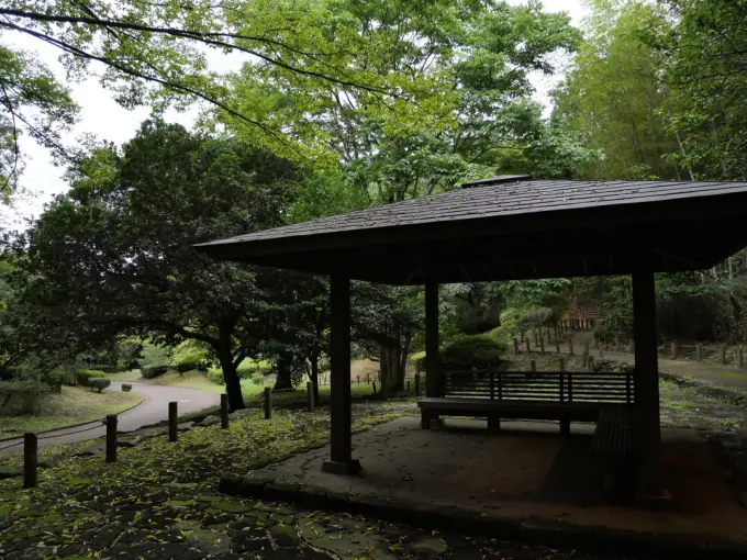 写真No.3