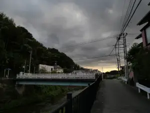写真No.5