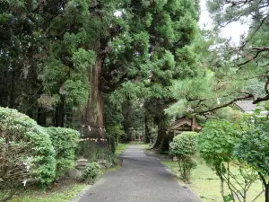 写真No.5