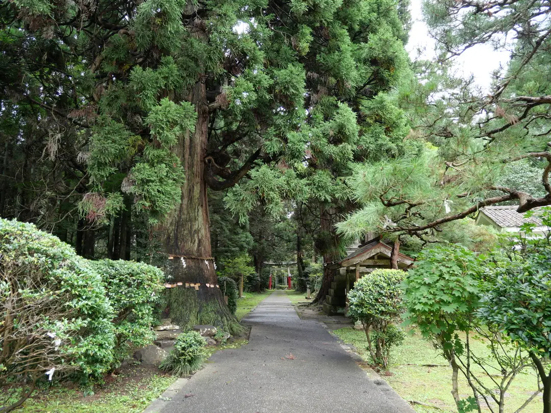 写真No.5