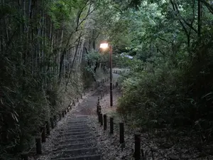 写真No.9