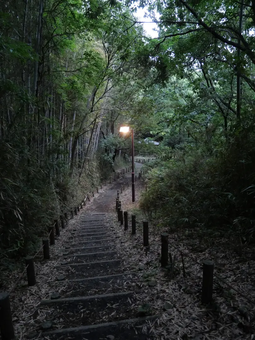 写真No.9