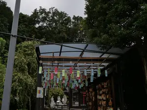 写真No.6
