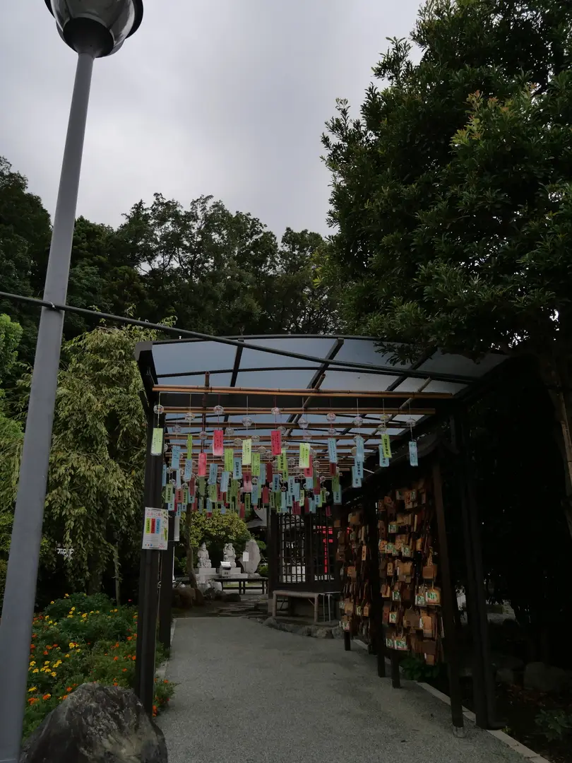 写真No.6