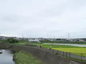 写真No.1