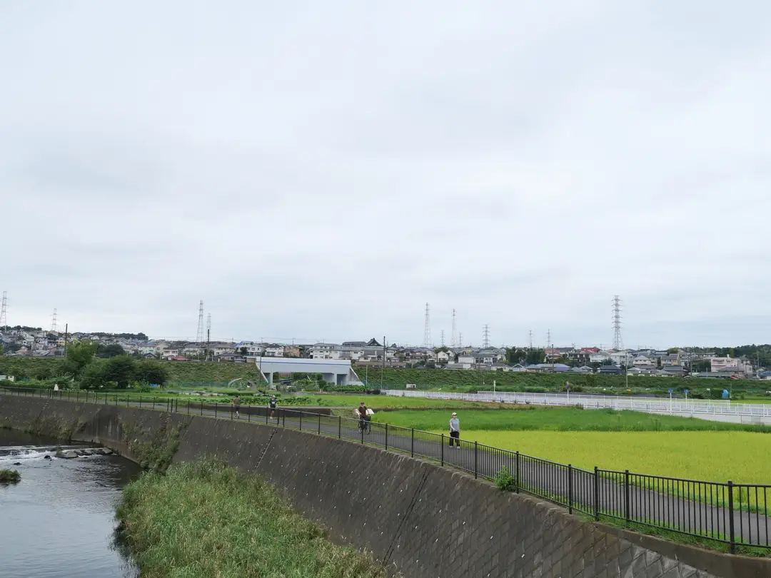 写真No.1