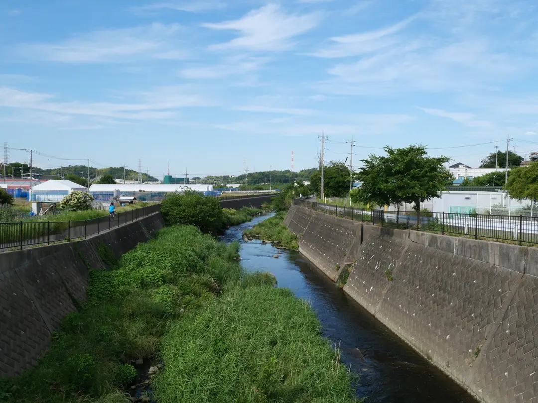 写真No.3