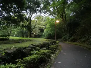 写真No.1