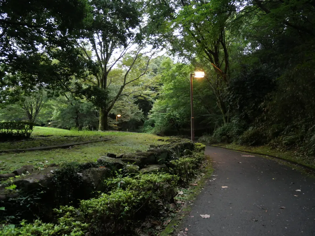 写真No.1