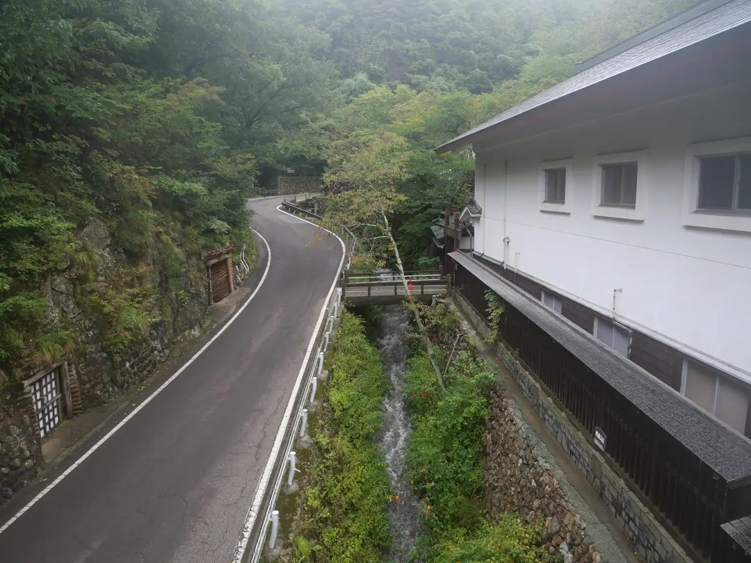 写真No.11