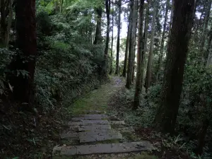 写真No.2