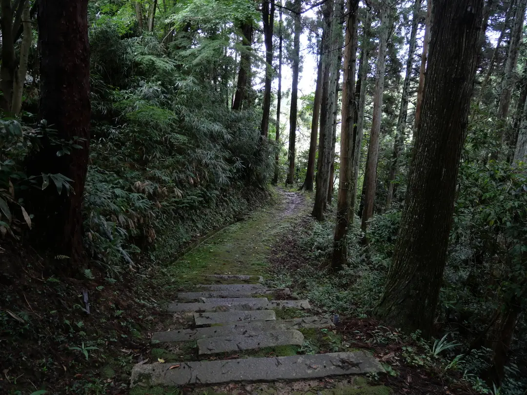 写真No.2