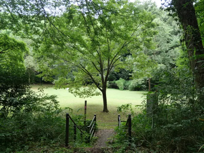 写真No.4