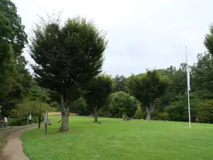 写真No.16