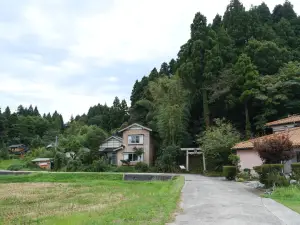 写真No.16