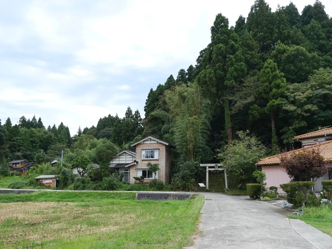 写真No.16