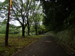 写真No.7