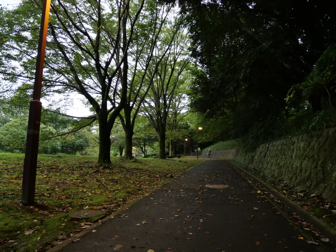 写真No.7