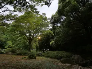 写真No.10