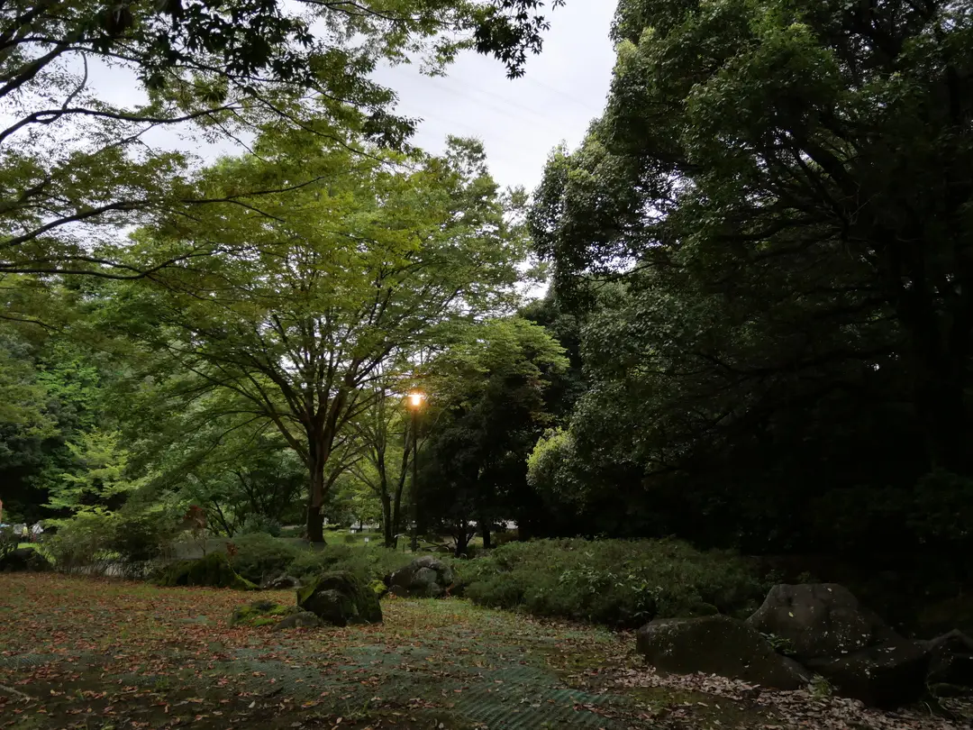 写真No.10