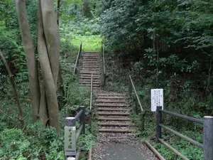 写真No.11